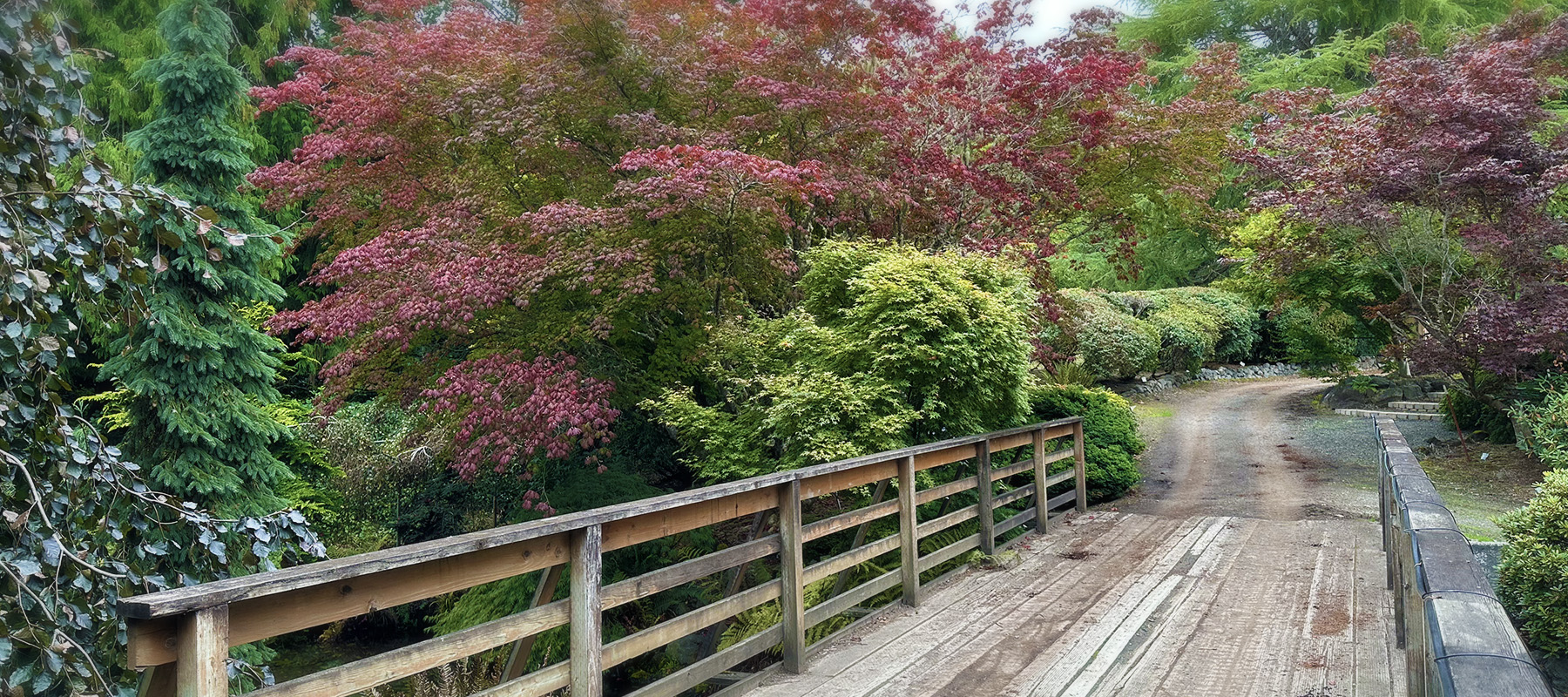 Bridge at Whitney Gardens in Brinnon