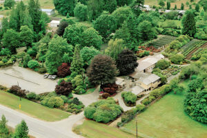 Whitney Garden's Aerial