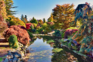 Fall colors over creek