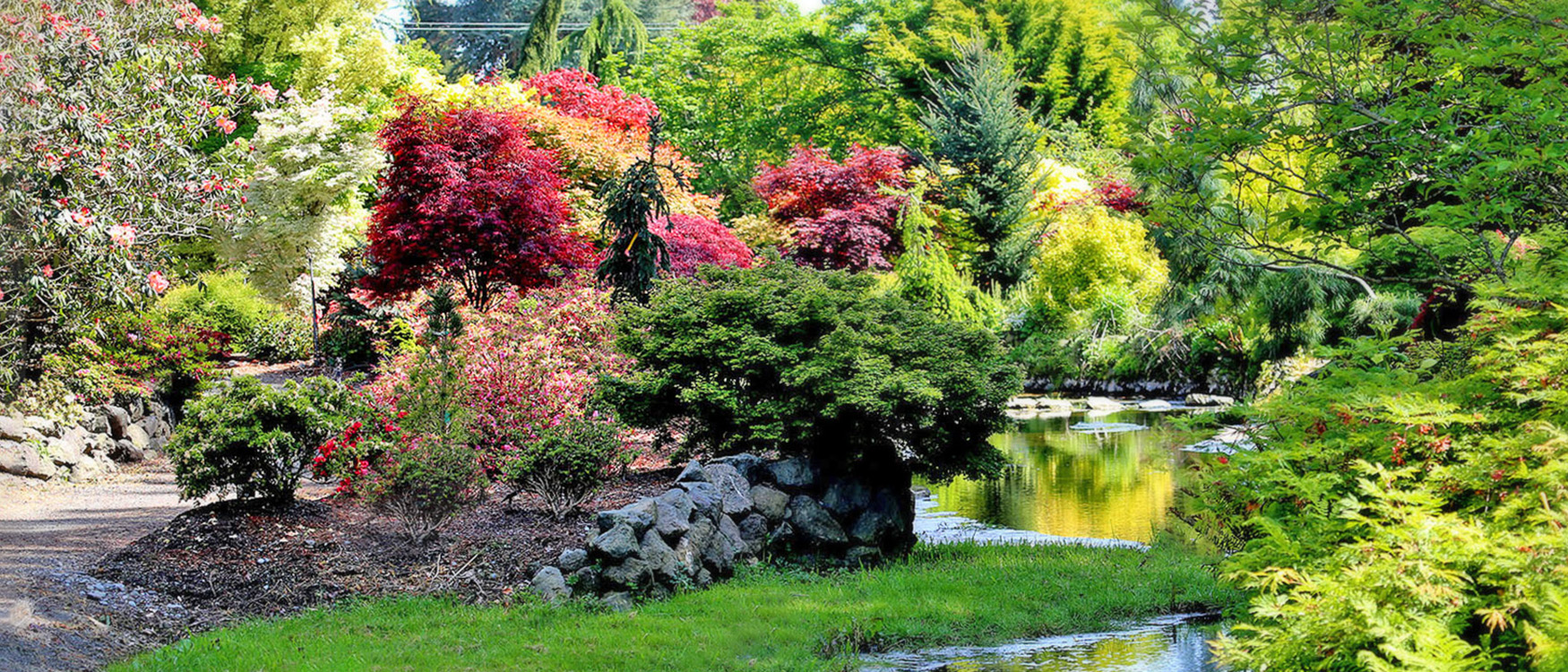 Stream at Whitney Gardens